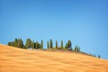 Beautiful typical landscape of Val d`Orcia in Tuscany withvivid colors in summer, Val d`Orcia, Tuscany Italy Royalty Free Stock Photo