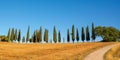 Beautiful typical panorama with cypress trees alley in Tuscany Italy
