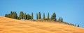Beautiful typical panorama landscape of Val d`Orcia in Tuscany with a row of cypress trees in summer, Val d`Orcia, Tuscany Ital Royalty Free Stock Photo