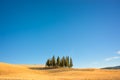 Beautiful typical tuscan landscape with cypress trees in a field in summer, Val d`Orcia, Tuscany Italy Royalty Free Stock Photo