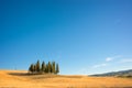 Beautiful typical tuscan landscape with cypress trees in a field in summer, Val d`Orcia, Tuscany Italy Royalty Free Stock Photo