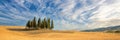 Beautiful typical tuscan panorama with cypress trees in a field in summer, Tuscany Italy