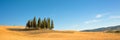 Beautiful typical tuscan panorama with cypress trees in a field in summer, Val d`Orcia, Tuscany Italy