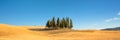 Beautiful typical tuscan panorama with cypress trees in a field in summer, Val d`Orcia, Tuscany Italy