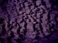 Beautiful ultraviolet snow texture, formed by the winter wind. Waves and Dunes Royalty Free Stock Photo