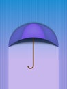 Beautiful Umbrella Protection Rain Blue