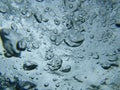 Beautiful underwater bubbles Royalty Free Stock Photo
