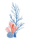 Beautiful underwater composition with watercolor sea life stock illustrations.