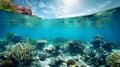 beautiful underwater coral reef seabed view with horizon and water surface Royalty Free Stock Photo