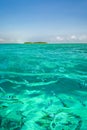 Beautiful underwater view with some tropical fishes of lone small island