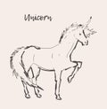 Beautiful unicorn wind vector illustration sketch Royalty Free Stock Photo