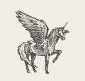 Beautiful unicorn wind vector illustration sketch Royalty Free Stock Photo