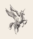 Beautiful unicorn wind vector illustration sketch Royalty Free Stock Photo