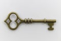 Beautiful Unique Antique Metal Key