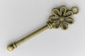 Beautiful Unique Antique Metal Key Royalty Free Stock Photo