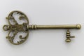 Beautiful Unique Antique Metal Key