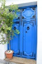 Beautiful and unique blue door and plant in Frigiliana - Spanish white village Andalusia