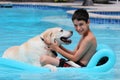 Beautiful unique golden retriever labrador dog and boy relaxing at the pool in a floating bed, dog super funny.