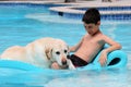 Beautiful unique golden retriever labrador dog and boy relaxing at the pool in a floating bed, dog super funny. Royalty Free Stock Photo