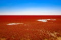 Panjin Red Beach, Liaoning, China