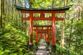 Beautiful unique red wooden gates in a garden Fushimi inari shrine in Kyoto Japan Royalty Free Stock Photo