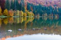 Beautiful unique vulcanic lake at autumn, Lake Saint Ana deciduous colorful woods mixed with pine woods reflecting on the crys