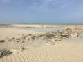 The beautiful unspoilt beach of Fuwairit, Qatar Royalty Free Stock Photo