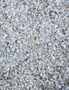 Beautiful unusual background of small fresh pebbles. White pebbles for decorative