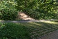 Beautiful urban alley with trees in the park in the morning sun Royalty Free Stock Photo