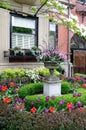 Beautiful urban garden Royalty Free Stock Photo