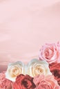 Beautiful Valentine roses on romantic lovely pink sky.