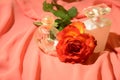 the beautiful valentines day gifts close up