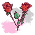 Beautiful Valentines Day Roses Vector Illustration