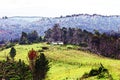 Sketch view of the Outeniqua Mountains