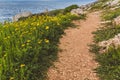 Beautiful valley by the sea. Trail leading along the coast. Seascape in Cyprus Ayia Napa Royalty Free Stock Photo