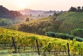 Beautiful valley in Tuscany, Italy. Vineyards and landscape with San Gimignano town at the background