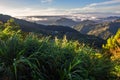 Beautiful valley view of crocker mountain range in the island of Borneo, near Kinabalu National Park, Sabah, Malaysia