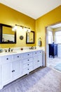 Beautiful vanity cabinet in bright yellow bathroom