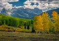 Autumn Vista of Golden Aspen and San Juan Mountains