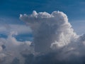 Beautiful various forms clouds in the high sky