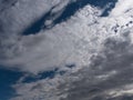 Beautiful various forms clouds in the high sky