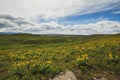 Beautiful Vast Landscape in Montana, USA Royalty Free Stock Photo