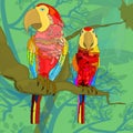 Beautiful vector art of two Scerlet Macaw or colorful parrots sitting on tree branch in the forest area, palm tree and plants on Royalty Free Stock Photo