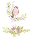 Beautiful vector bouquets, wild flowers and robin bird. Compositions for wedding decor, spring pastel color