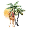 Watercolor camel and palm vector composition