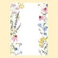 Beautiful vector floral frame with watercolor hand drawn summer wild field flowers. Stock illustration. Clip art. Royalty Free Stock Photo