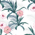 Beautiful vector floral seamless pattern background with agave, palm leaves and exotic hibiscus flowers. Royalty Free Stock Photo