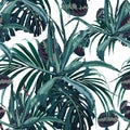 Beautiful vector floral seamless pattern background with agave and tropical palm leaves. Royalty Free Stock Photo