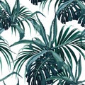 Beautiful vector floral seamless pattern background with agave and tropical palm monstera leaves. Royalty Free Stock Photo