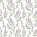 Beautiful vector floral seamless pattern with hand drawn watercolor spearmint flowers. Stock illustration.